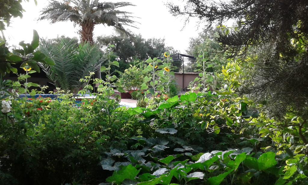 Bassatine Skoura Bed and Breakfast Buitenkant foto