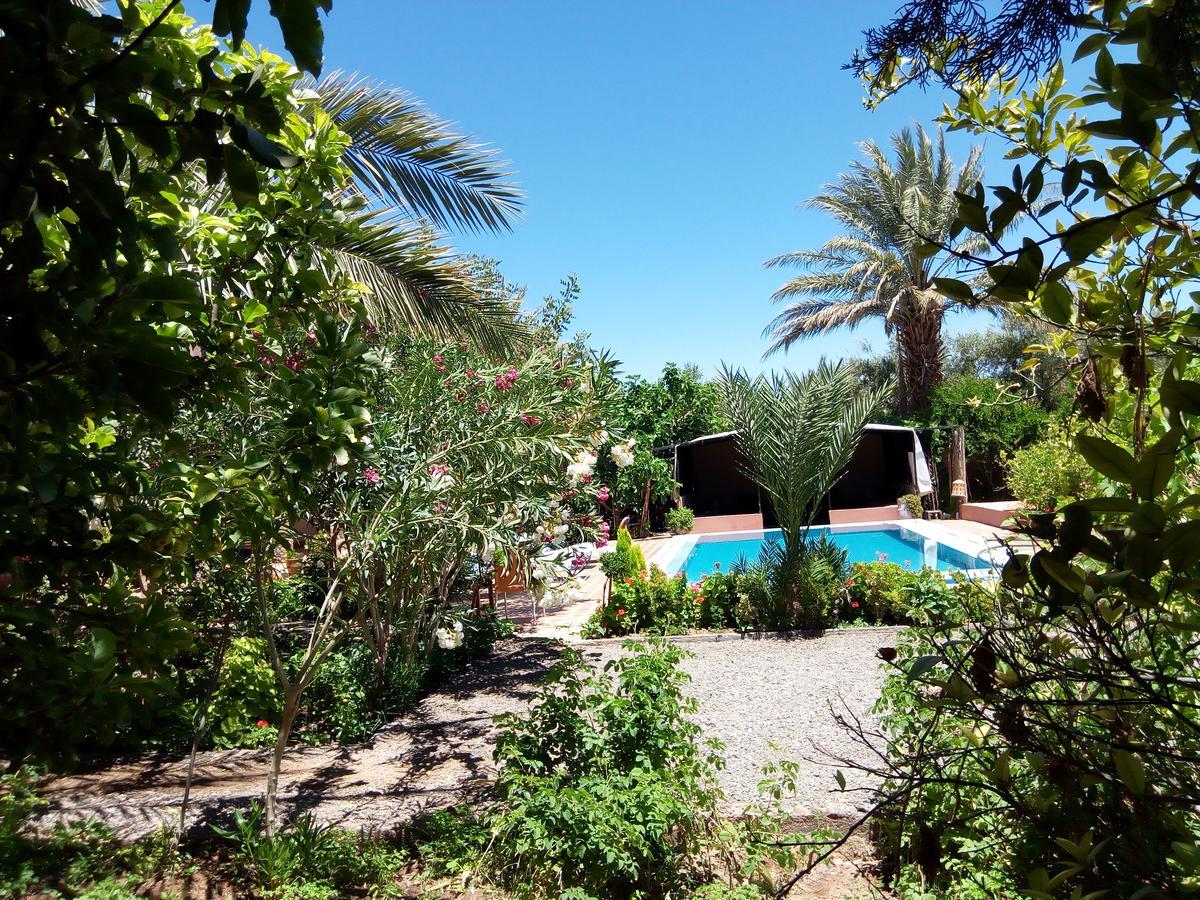 Bassatine Skoura Bed and Breakfast Buitenkant foto
